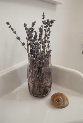 a vase with flowers in it next to a snail at A Casa do Porto in Burela de Cabo