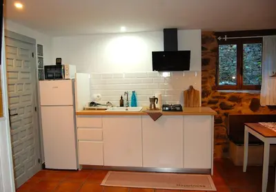 a kitchen with a sink and a refrigerator at Nuevo sabor rural Ribeira Sacra in A Pobra do Brollon