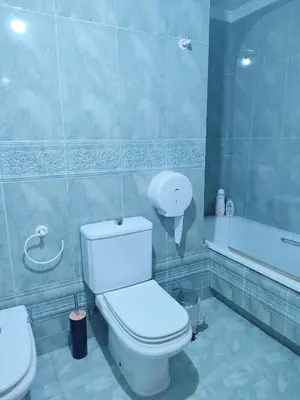 a bathroom with a white toilet and a bath tub at Pensión Armonía in Caldas de Reis