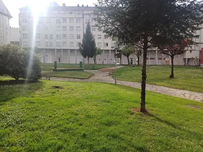 a tree in a park in front of a building at Apartamento Camiño de Santiago in Sarria