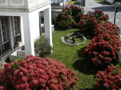 a garden with red flowers on the side of a building at Villa Andrade in Mor