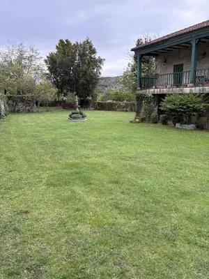 a large yard with a house and a tree at Cabaña familiar in Celanova