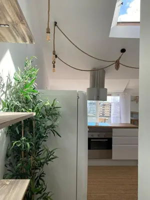 a kitchen with a white refrigerator and some plants at El ático de la terraza in Lugo
