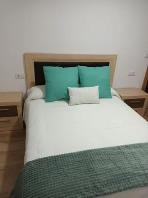 a bed with two blue pillows and a green blanket at Él Rincón de los Sueños B in Vegadecabo