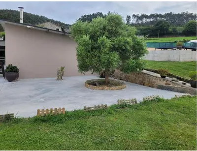 a tree in a courtyard next to a building at O Salgueiral Xove in Jove