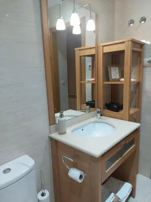 a bathroom with a sink and a toilet and a mirror at Apartamento Camino de Santiago in Ordes