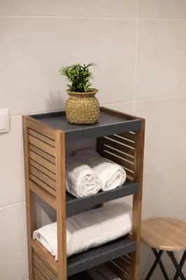 a shelf with towels and a potted plant on it at Camino Termal OURENSE in Valenzana
