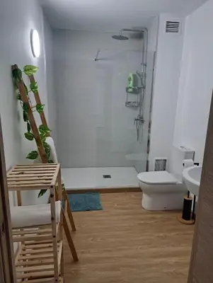 a bathroom with a shower and a toilet and a sink at Habitación privada en el mismo Camino de Santiago in Caldas de Reis