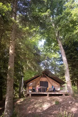 a cabin in the woods with trees at Huttopia Caminos de Galicia in Prado