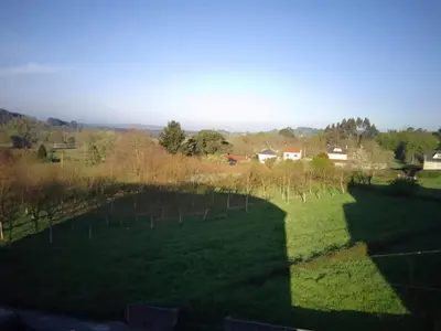a view of a field with trees and a fence at Road in Palas de Rei