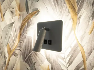 an electrical outlet on a wall with plants at Pensión Spa Cruceiro de Pedrouzo in O Pedrouzo