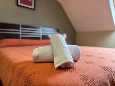 a roll of toilet paper on top of a bed at Pensión Restaurante Tino in Germade