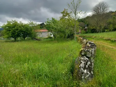a stone wall in the middle of a field at A casa da Cernada in Rocas