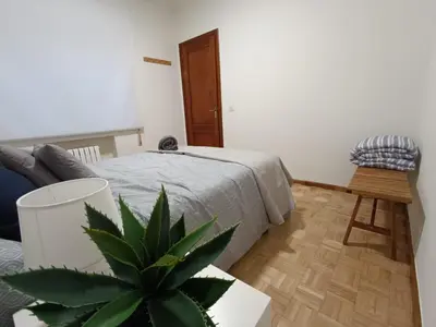 a bedroom with a bed and a potted plant at A Torre in Ribadeo