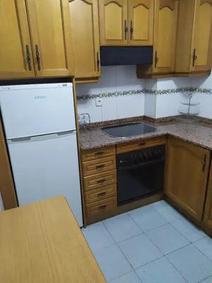a kitchen with a white refrigerator and a sink at La Niña in Tineo