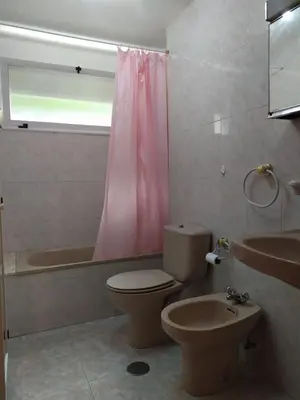 a bathroom with a toilet and a sink and a pink shower curtain at La Niña in Tineo