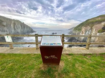a sign sitting in the grass near the ocean at Apartamento El Puerto in Puerto de Vega