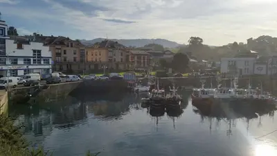 a group of boats are docked in a harbor at Apartamento El Puerto in Puerto de Vega