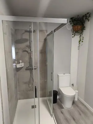a bathroom with a shower and a toilet at Lar de Yago - Apto Barreiros B in San Cosme de Barreiros