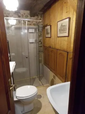 a bathroom with a toilet and a shower and a sink at Granja del Peregrino in O Pino