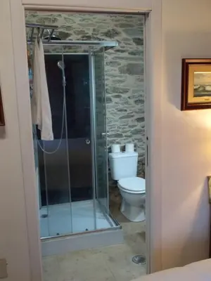 a bathroom with a shower and a toilet at Granja del Peregrino in O Pino