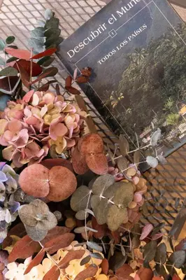a display of plants and a book on a table at Albariño in Pincelo