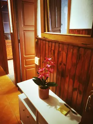 a potted plant sitting on a table in a room at Apartamento MIZA in Ponferrada