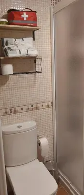 a bathroom with a white toilet and some towels at La Vega De Somiedo in Pola de Somiedo