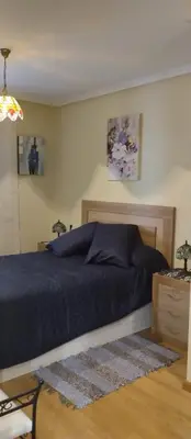 a bedroom with a bed with a blue comforter at La Vega De Somiedo in Pola de Somiedo
