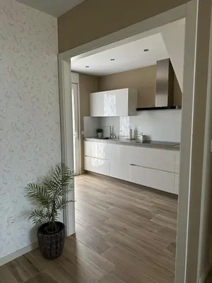 a kitchen with white cabinets and a potted plant at Villa Doce in Puentecesures