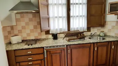 a kitchen with a sink and a counter top at Camin de Muniellos apartamentos rurales in Cangas del Narcea
