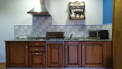 a kitchen with wooden cabinets and a sink and a microwave at Camin de Muniellos apartamentos rurales in Cangas del Narcea