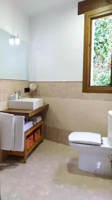 a bathroom with a sink and a toilet and a mirror at Camin de Muniellos apartamentos rurales in Cangas del Narcea