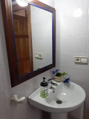 a bathroom with a white sink and a mirror at La Casina de Santulaya in Adralés