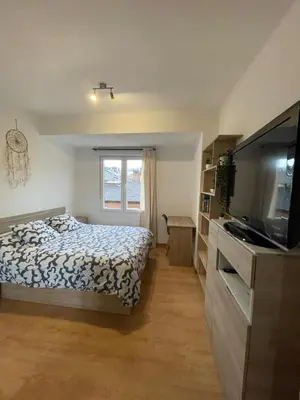 a bedroom with a bed and a flat screen tv at El Bierzo - Ponferrada in Ponferrada