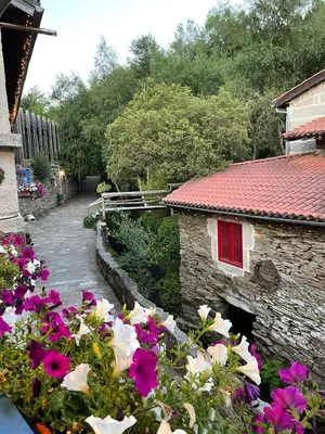 a garden with flowers in front of a building at Couso Relax in Sarreaus
