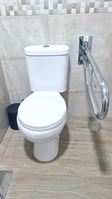 a white toilet in a bathroom with a metal hand rail at Apartamentos Pedras do Val in Mondariz