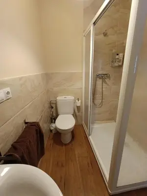 a bathroom with a white toilet and a shower at Casa Silandeira in Viveiro