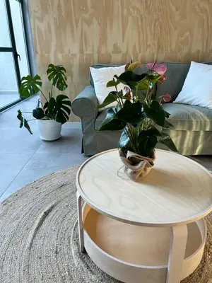 a living room with a table with a plant on it at Pensión do Catro in Puebla de Trives