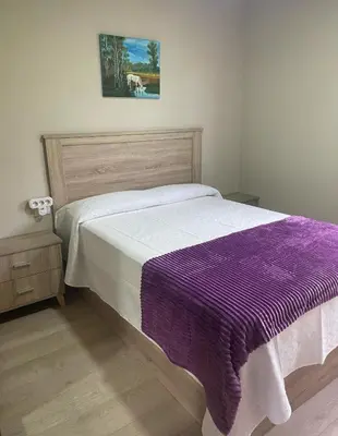 a bedroom with a bed with a purple blanket on it at Casa do Carpinteiro in Brocos