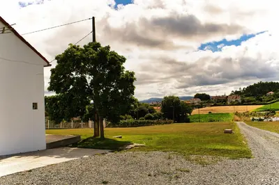 a tree in a field next to a white building at a revolta Boqueixon in Lestedo