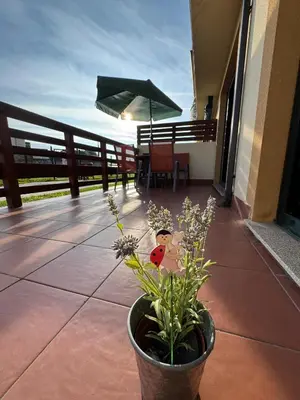 a potted plant on a patio with a table and an umbrella at Apartamento Rammari Spa in San Miguel de Reinante