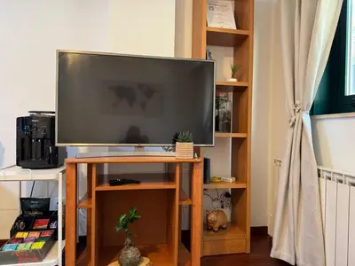 a flat screen tv sitting on a wooden stand at Rei Túzaro in Milladoiro