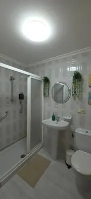 a bathroom with a shower and a sink and a toilet at Amma Ribeira Sacra in Monforte de Lemos