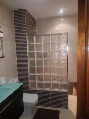 a bathroom with a toilet and a glass wall at EL Descanso in Ourense