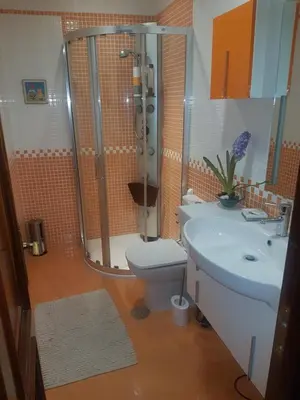 a bathroom with a shower and a toilet and a sink at EL Descanso in Ourense