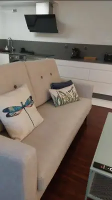a couch with two pillows on it in a living room at Viorneira in Milladoiro