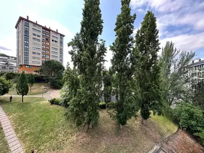 a group of trees in a park with a building at Parque Ávila in Ourense