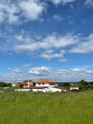 a field of tall green grass with buildings in the background at Casa María in Santa Eulalia