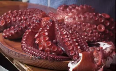 an octopus on a plate on a table at Casa Diaz in Cea